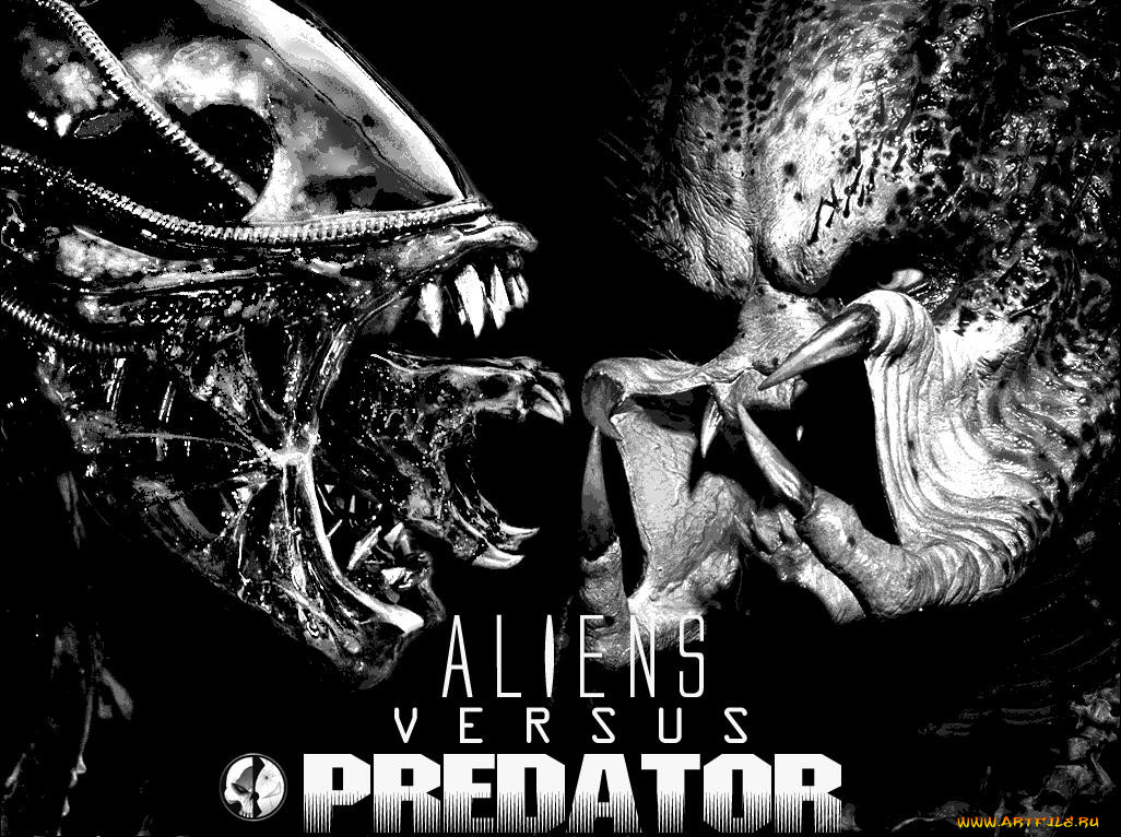 alien, vs, predator, , 